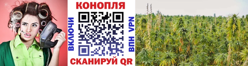 Бошки Шишки MAZAR Волгоград